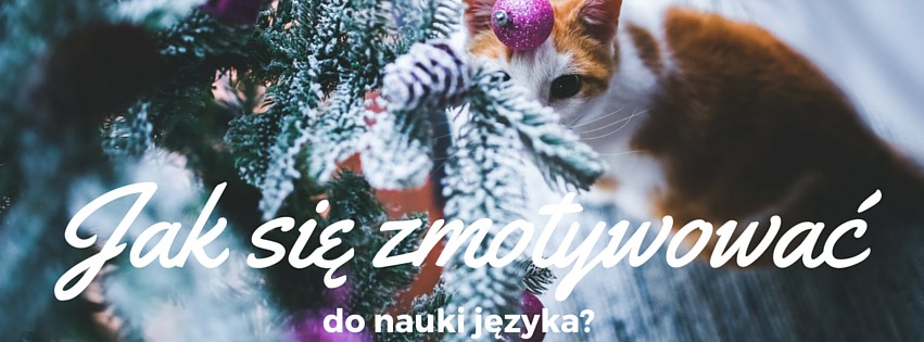 5 sposobów na zmotywowanie się do nauki języka